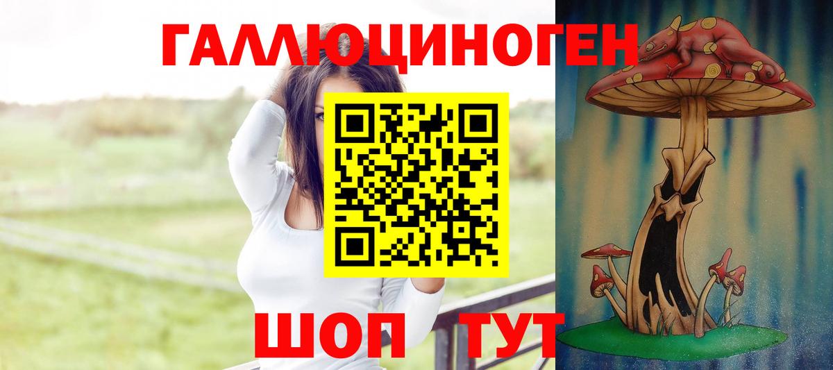 Галлюциногенные грибы GOLDEN TEACHER  Вход с VPN  Россошь 