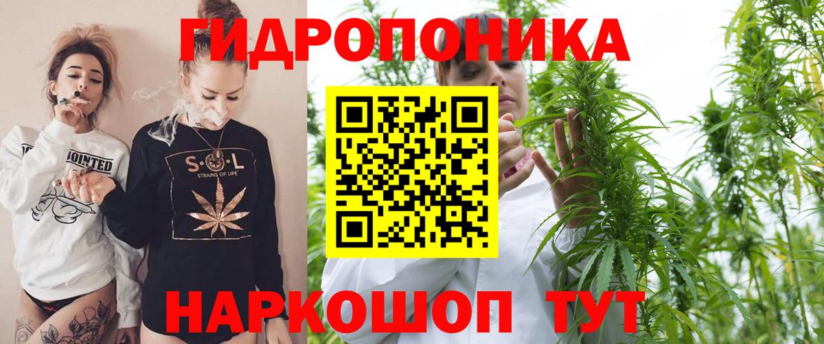 Бошки Шишки AK-47 Россошь